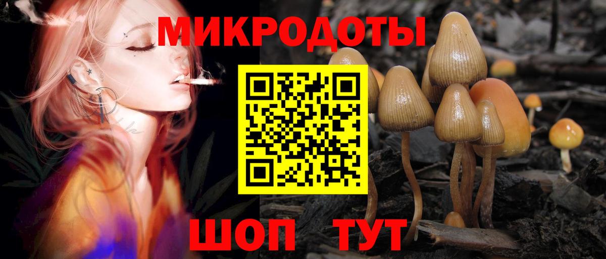 Псилоцибиновые грибы Psilocybe Луховицы