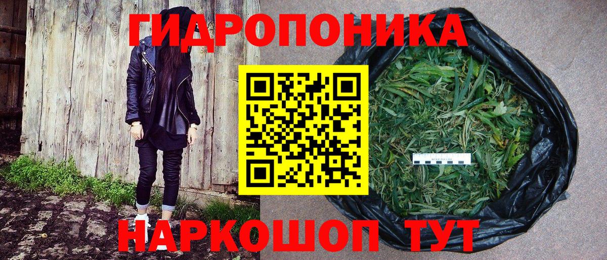 Бошки марихуана семена Луховицы